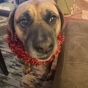 Meet your Posher, Corinna